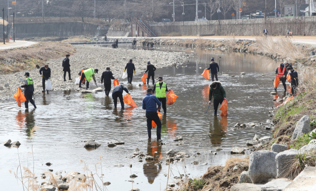 지난 8일 물고기 떼죽음이 발생한 대구 북구 팔거천에서 공무원, 자율방재단원 등 관계자들이 떼죽음 당한 물고기를 건져내고 있다. 성일권 기자 sungig@imaeil.com