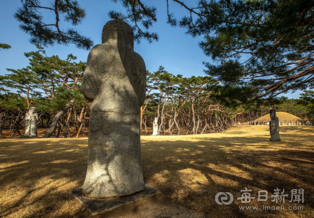 흥덕왕릉을 지키는 석상. 입구 좌우에 한쌍의 무인상과 한쌍의 문인상 등 모두 4기가 조성돼 있다. 원성왕릉에도 이같은 양식의 석상 4기를 볼 수 있다. 김태형 선임기자 thk@imaeil.com