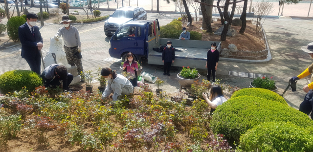 대구 서도초등학교 졸업생 모임 서도총동창회가 최근 모교에 장미 100포기를 기증, 장미동산을 꾸몄다. 서도초교 제공