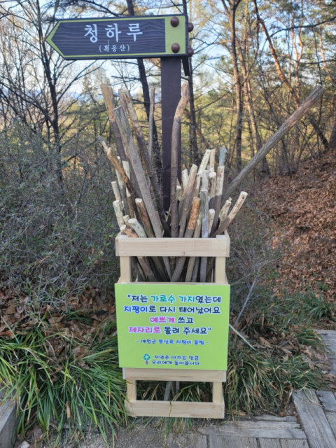 예천군이 가로수 가지치기 후 폐기물로 처리되는 나뭇가지를 재활용해 등산용 지팡이를 제작, 등산객들에게 무료 나눔을 했다. 제작된 지팡이는 인근 산 등산로 입구에 비치돼 있다. 윤영민 기자