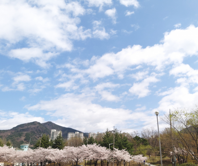 바람 부는 파랑-나진영