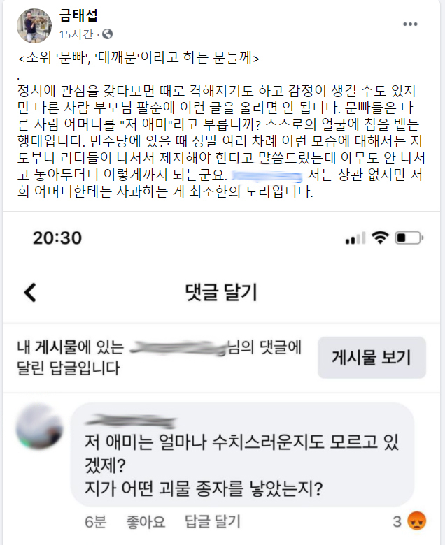 금태섭 전 의원 페이스북 캡쳐