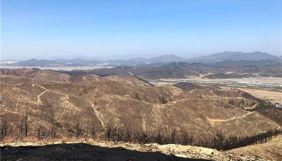 안동 산불피해지가 산악 레포츠 시설로 탈바꿈한다. 안동시 제공