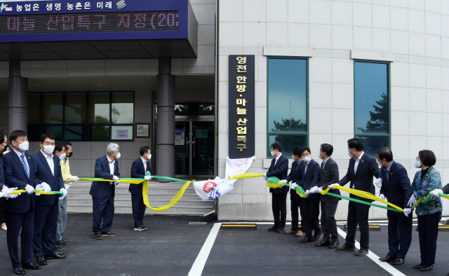 영천시가 지난 4월 농업기술센터에서 가진 한방마늘산업특구 현판식 모습. 영천시 제공