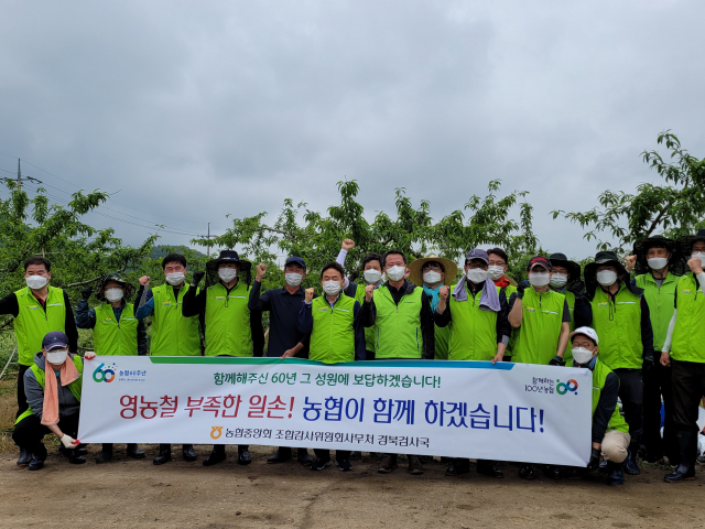 농협중앙회 조합감사위원회사무처 경북검사국 직원들이 경북 의성의 과수농가에서 농촌일손돕기를 했다.