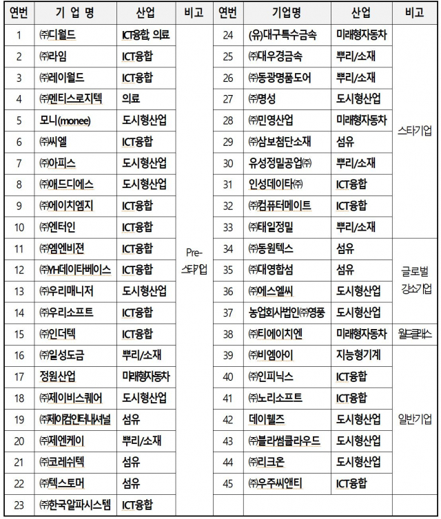 스타기업 히어로 양성사업 참여 기업 45개사. 대구시 제공