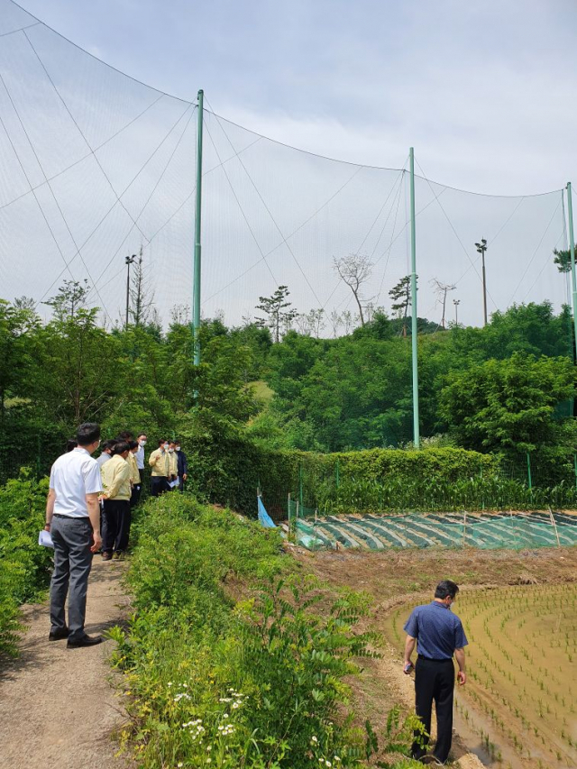 고령군의회는 10일 오전 고령군의회 정례회에 앞서 대가야골프장 인근 지산3리 마을을 방문, 주민들로부터 골프장 인근 주민 피해상황 현장점검에 나섰다.