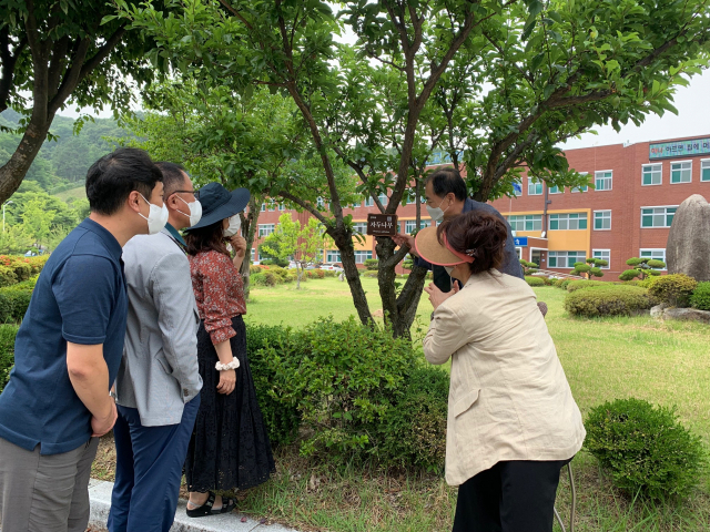 15일 경북교육연수원 수목길을 찾은 시민들이 나무에 부착된 QR 코드를 통해 관련정보를 확인하고 있다. 경북교육연수원 제공.