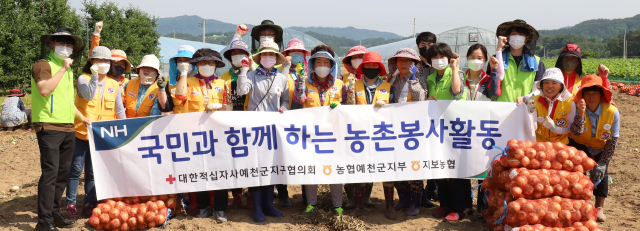 대한적십자사 경북지사는 5월 26일부터 5주간 농촌일손돕기 봉사활동을 하고 있다. 경북적십자사 제공