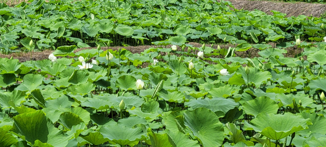 이현주 기자