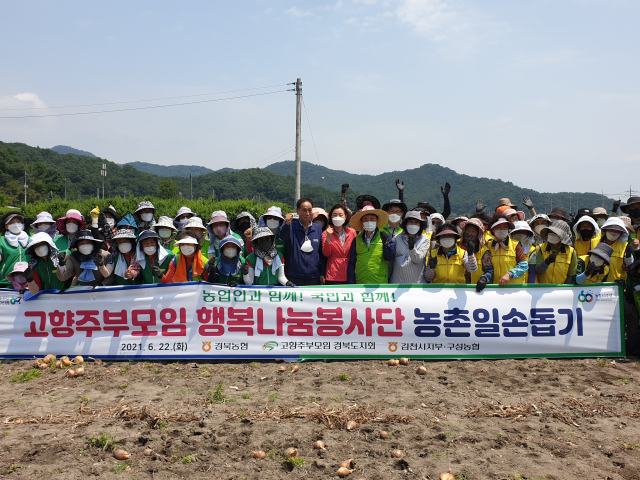 경북농협, 고향주부모임 경북도지회 회원 80여 명이 22일 김천시 구성면 양파농가에서 일손돕기 봉사활동을 하며 단체사진을 찍고 있다. 경북농협 제공