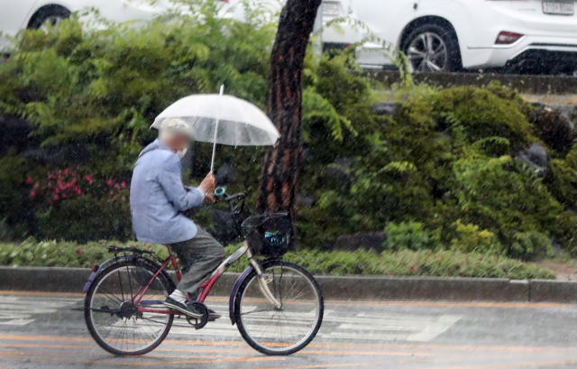 장맛비가 내리는 7일 오후 우산을 쓴 시민이 경남 김해시청사 앞 도로를 자전거로 이동하고 있다. 연합뉴스