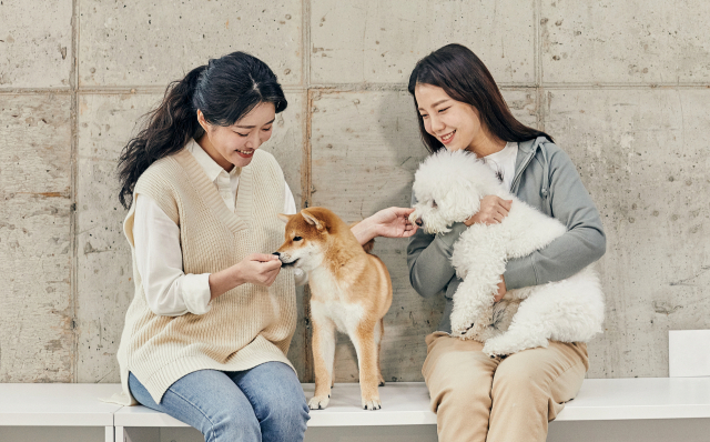 1천만 반려인 시대, 반려견을 가족으로 생각하는 시민들이 늘고 있다.