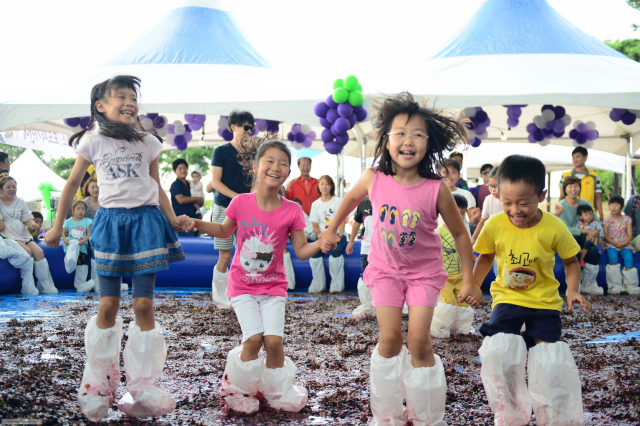 아이들이 2019년 송산포도축제 포도밟기 프로그램에 참여해 즐거운 시간을 보내고 있다. 화성시 제공