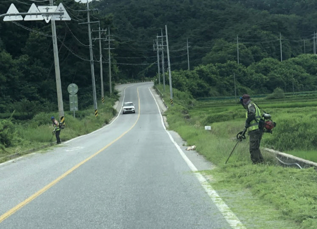 도로변 풀베기 작업을 펼치고 있다. 봉화군 제공