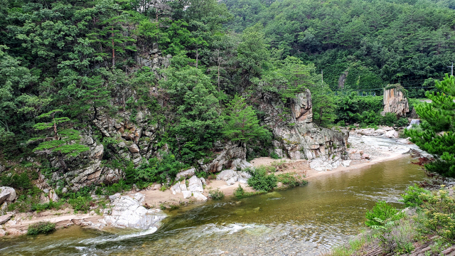 협곡열차 철로를 따라 간간이 오가는 열차의 기적소리와 물소리를 들으며 페달을 밟고 있다.