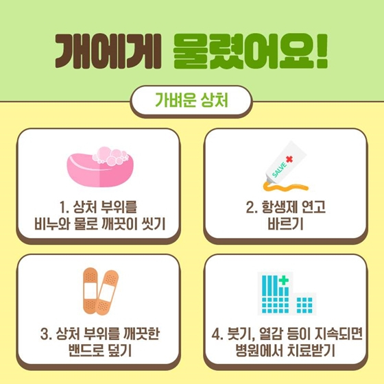 개물림 사고 대처법. 매일신문DB