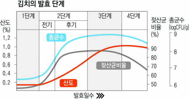 ▸젖산균비: 젖산균수 x 100/총균수 ▸산도: 적정산도 ▸CFU: 코로니 생성 유닛, ▸최적 가식기간: 산도 0.3~0.7% 범위 (2단계 후기)