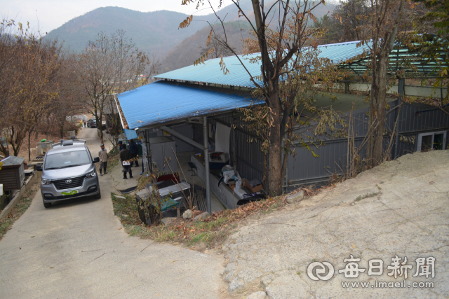 반려견이 늘어나면서 버려지는 유기견들도 늘어남에 따라 경산시 유기견보호소에는 연간 1천여마리를 구조 관리하고 있다. 매일신문DB