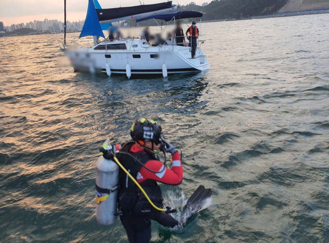 지난 11일 오후 포항시 북구 두호동 앞바다에서 폐그물에 발이 묶인 요트를 구조하고자 해경 구조대가 입수하고 있다. 포항해양경찰서 제공.