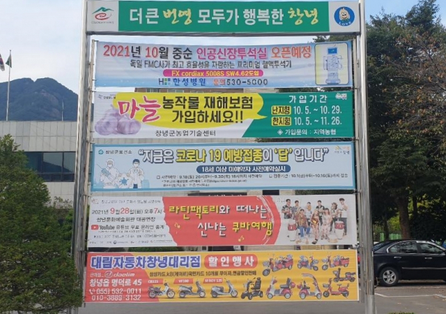 창녕군 지정게시대에 마늘 보험 홍보 현수막이 게시되어 있다. 창녕군 제공