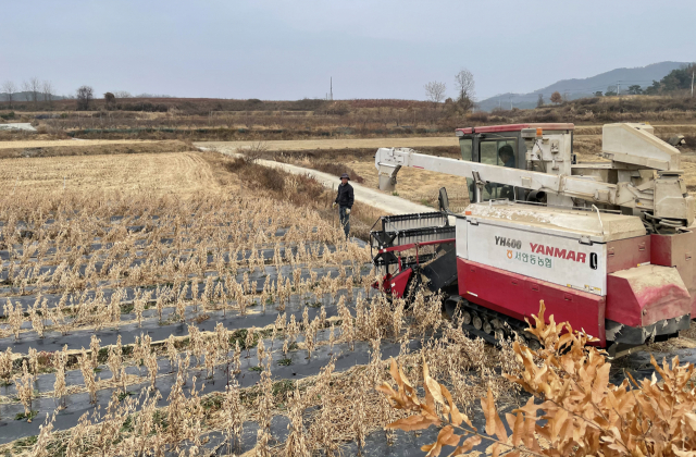 안동시는 서안동농협과 (주)밀과노닐다를 사업 대상자로 한 