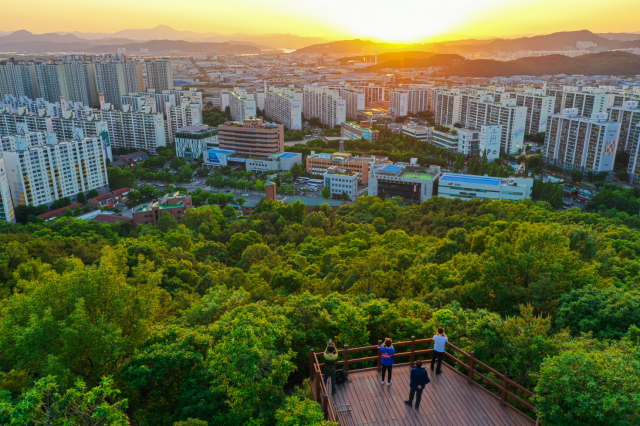 달서구청 및 주변 전경 사진. 달서구청 제공