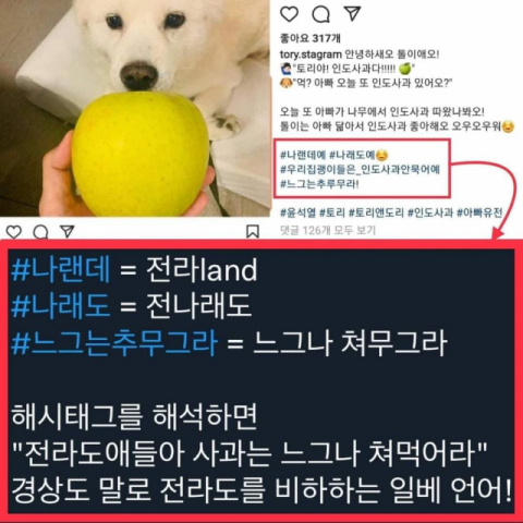 윤 전 총장 SNS 관련 논란. 페이스북 캡처