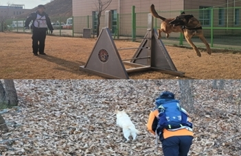 장애물 통과 등 전술 평가 및 산악지역 수색 평가에 참가한 119구조견들. 소방청 제공