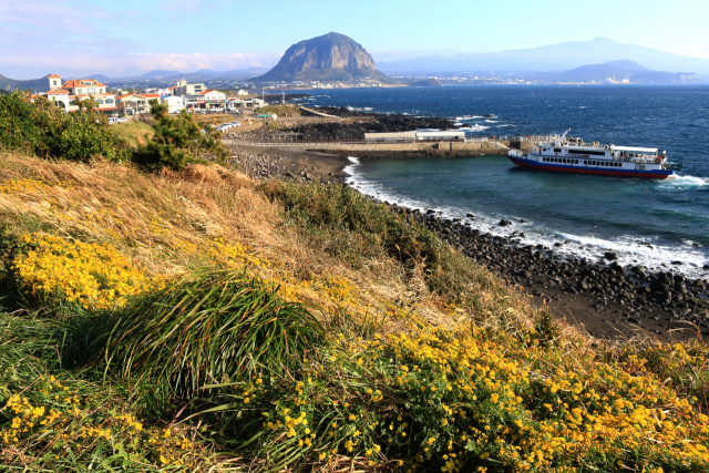 송학산 중턱에서 바라다 본 산방산.