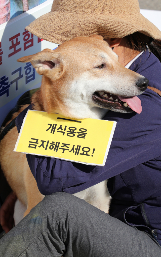 국민 절반 가까이가 개 식용을 법으로 금지하는 것에 반대한다는 여론조사 결과가 나왔다. 한국동물보호연합 등 동물보호단체 관계자들이 25일 광화문에서 대선 후보들의 