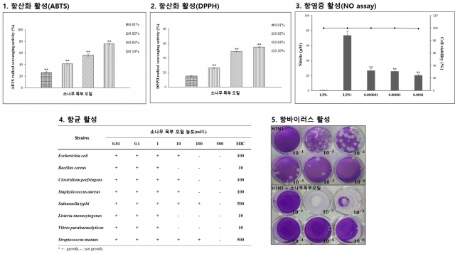 춘양목 에센셜오일 유용성 평가 결과. 수목원 제공