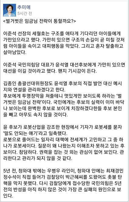 국민의힘을 세월호에 빗댄 추미에 전 법무부장관 페이스북 글. 추 전 장관 페이스북 갈무리