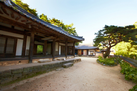 옥연정사는 하회마을 부용대 절벽 우측 끝에 자리해 하회마을, 낙동강변 은모래, 소나무, 밤하늘 별 빛 등 도시생활의 시름을 털어내기에 최적의 장소다. 안동시 제공