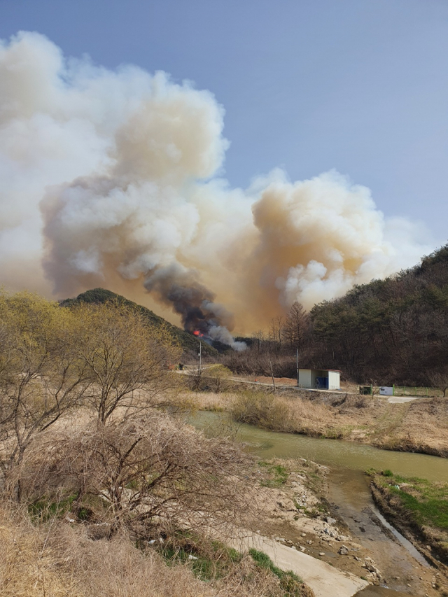 봉화읍 화천리 한 야산에서 발생한 산불이 확산되고 있다. 봉화군 제공