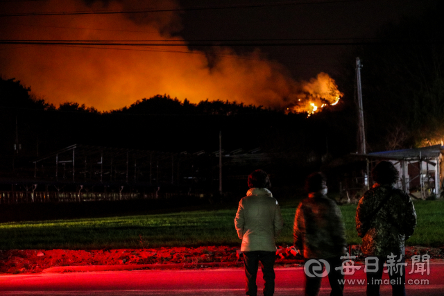 식목일을 맞은 5일 오후 봉화군 봉하읍 야산에서 시작된 산불이 강한 바람을 타고 확산하고 있다. 불을 피해 마을 밖으로 대피한 주민들이 불타는 산을 바라보고 있다. 안성완 기자 asw0727@imaeil.com