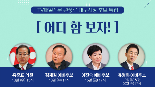 TV매일신문 