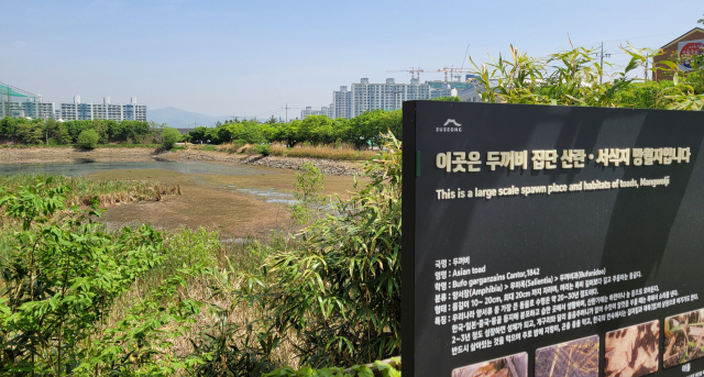 대구 수성구 욱수동의 농업용 저수지 망월지가 바닥을 드러내 보이고 있다. 매일신문DB