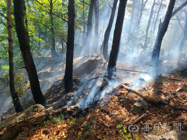 영덕군 남정면 우곡리 한 야산에서 산불이 발생해 약 0.2ha 임야에 피해가 발생했다. 영덕군 제공