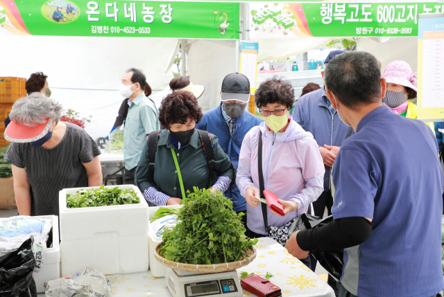 3년 만에 현장에서 열린 영양 산나물축제장에 10여만명이 찾아 50억여원의 경제적 효과를 가져준 것으로 집계됐다 영양군 제공