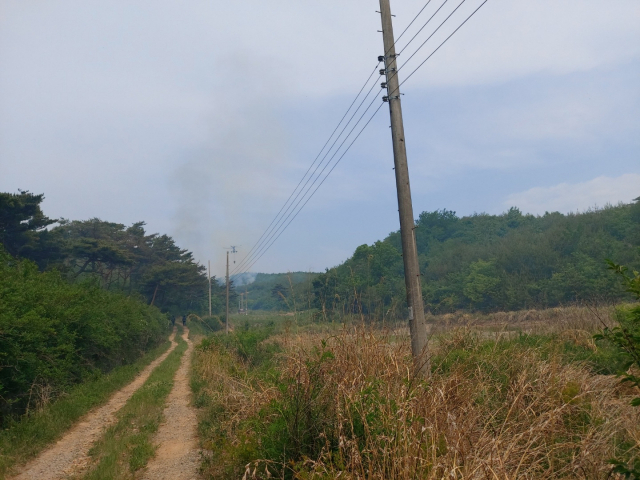 20일 오전 포항시 북구 송라면 지경리 한 야산에서 발생한 산불을 산림·소방당국이 진화하고 있다. 포항북부소방서 제공.