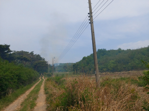 포항 송라면 산불 발생…산림·소방당국 진화 중