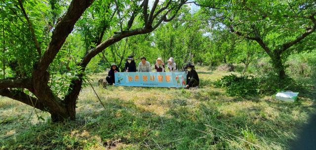 경북환경연수원은 농번기를 맞아 김천시 대덕면 농가로 농촌일손 돕기 봉사활동을 실시했다. 경북환경연수원 제공