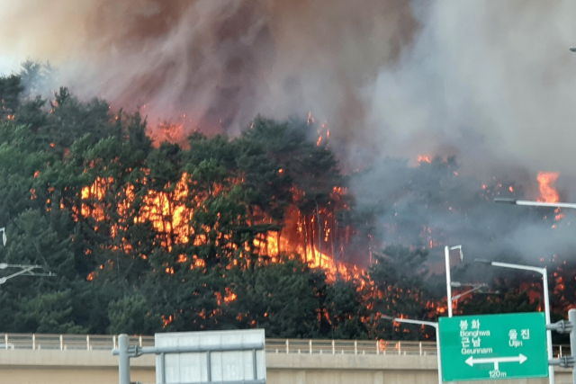 28일 경북 울진군 근남면 야산에서 불이 나 주변으로 번지고 있다. 연합뉴스