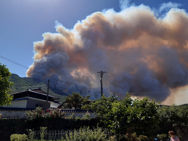 31일 오전 9시 25분께 경남 밀양시 부북면 춘화리에서 발생한 산불이 바람을 타고 확산하고 있다. 연합뉴스