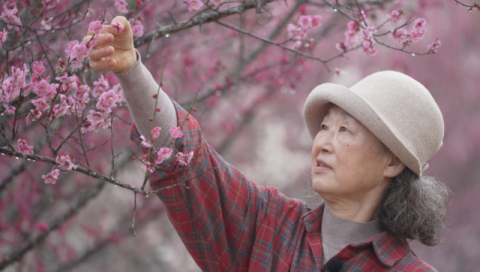 [TV] 순수한 열정으로 빚어낸 인생의 정원   