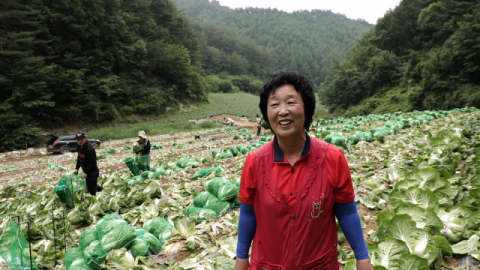 [TV] 여름에도 청량한 높드리의 자연 담은 밥상 