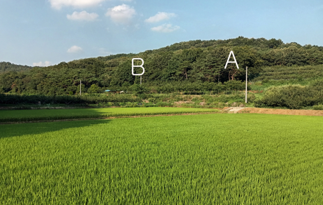 오지산 전경(A는 류공작 묘소, B는 연안 이씨 묘소)