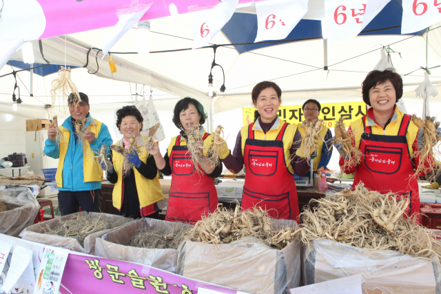 영주 풍기인삼축제. 경북도 제공