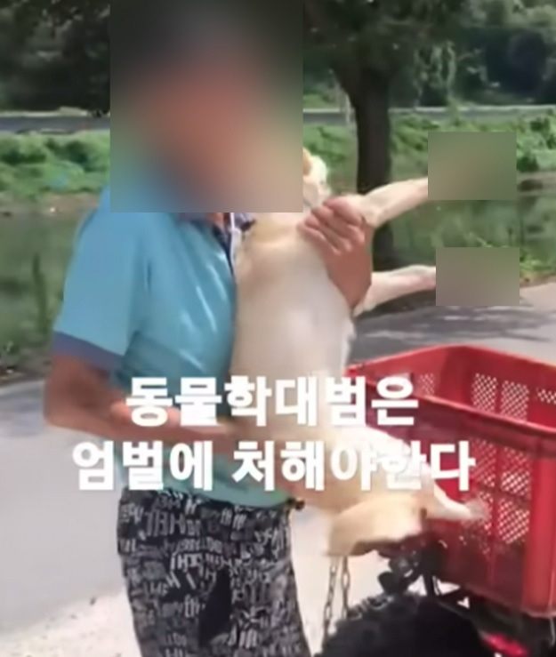 오토바이 뒤에 반려견을 매달아 끌고 다녀 다치게 한 견주가 경찰 수사를 받고 있다. 유튜브 채널 스나이퍼 안똘 영상 캡처